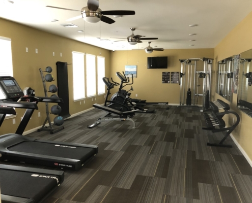 Vireo exercise Vireo